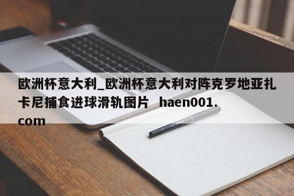 欧洲杯意大利_欧洲杯意大利对阵克罗地亚扎卡尼捕食进球滑轨图片  haen001.com
